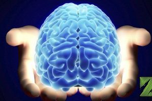 Blue Brain (Virtual Brain)
